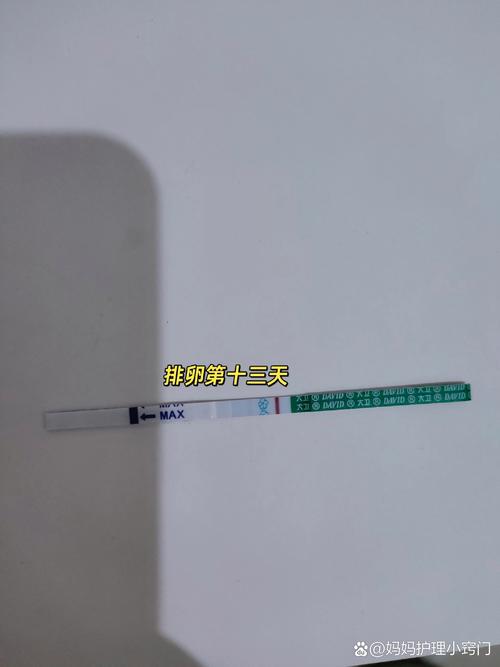 安全期排卵试纸有水印