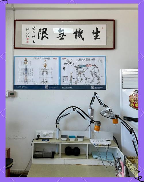 沈阳中医针灸哪家好