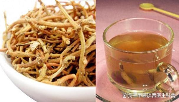 痛风能喝鱼腥草泡水吗