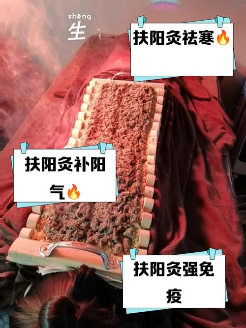 针灸可以提升阳气吗