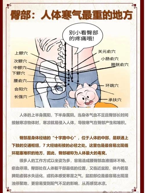 针灸屁股有什么作用
