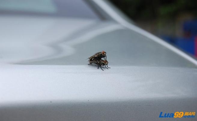 济南车震最安全的地方