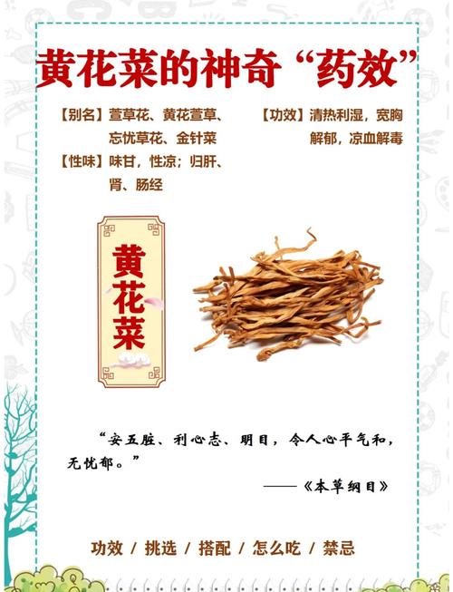 痛风病人能吃黄花菜吗