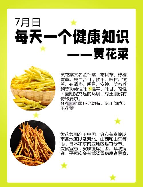 痛风病人能吃黄花菜吗