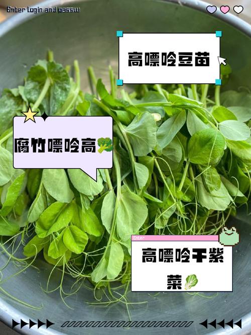 痛风能吃的蔬菜有哪些