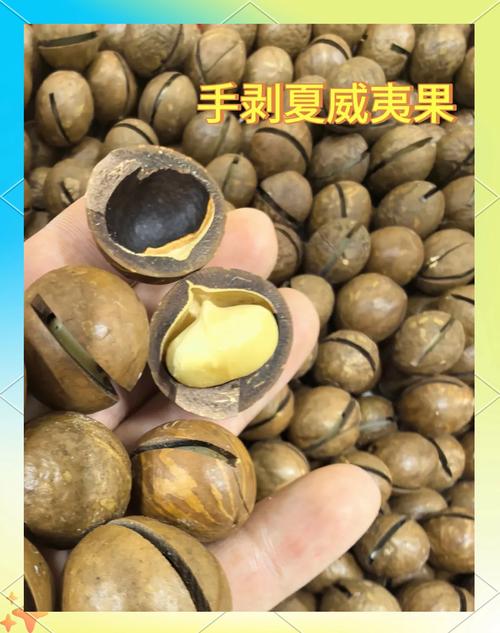 痛风可以吃夏威夷果吗