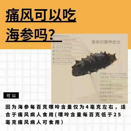 痛风病人可以吃海参吗