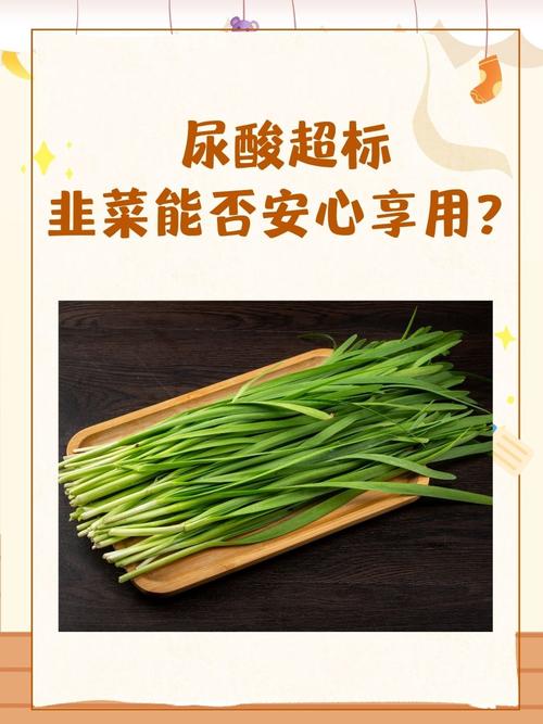 痛风病人可以吃韭菜吗