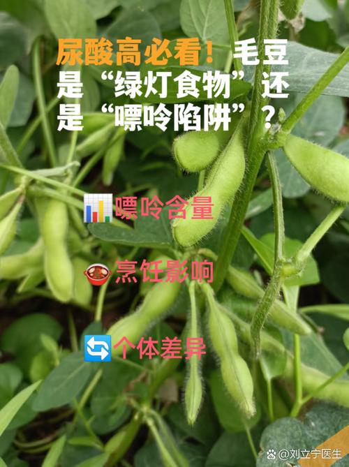 毛豆痛风的人可以吃吗