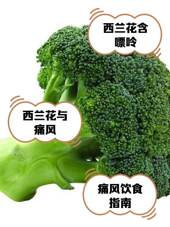 痛风病人能吃西兰花吗