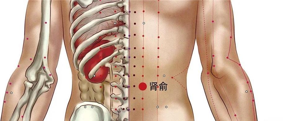 肾阳虚针灸哪个部位