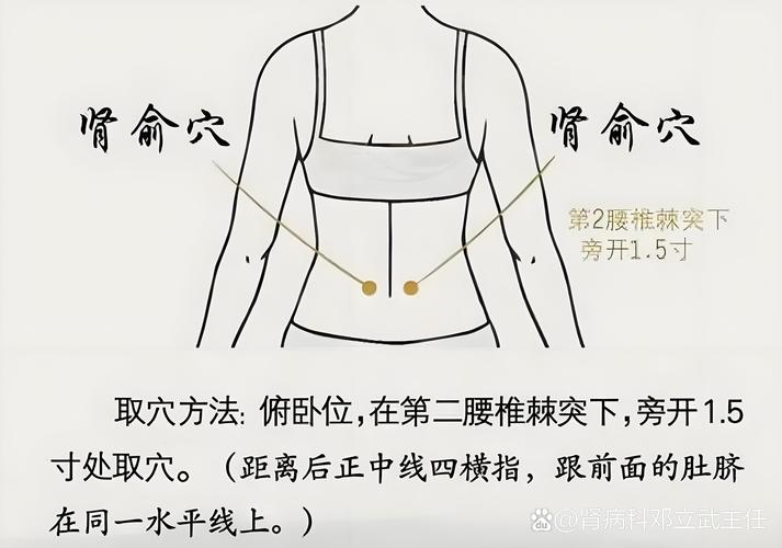 肾阳虚针灸哪个部位