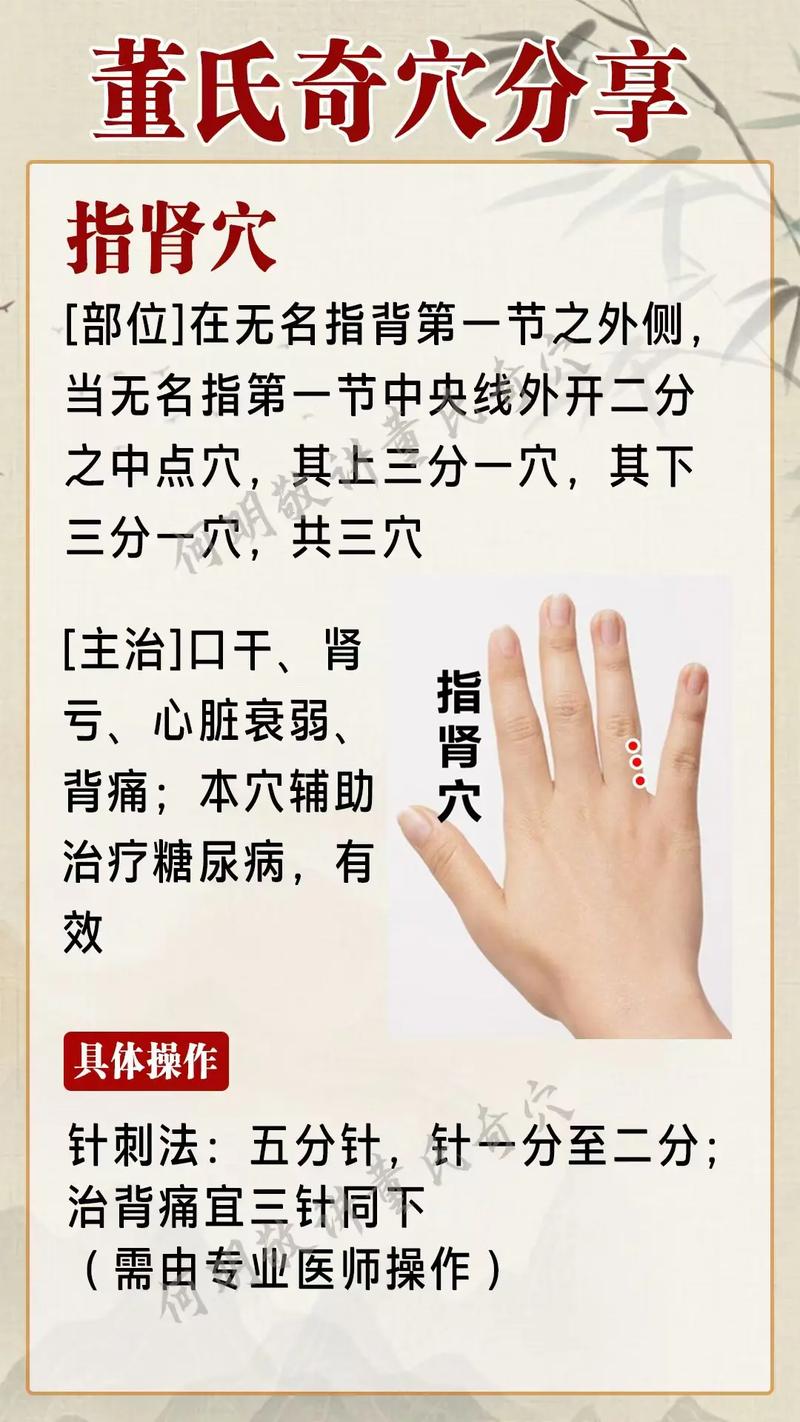 肾阳虚针灸哪个部位