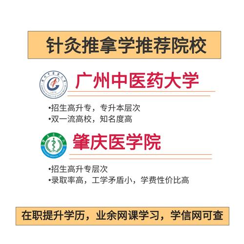 针灸推拿可以考中医