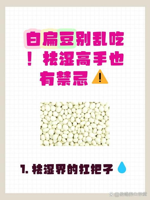 扁豆痛风的人可以吃吗