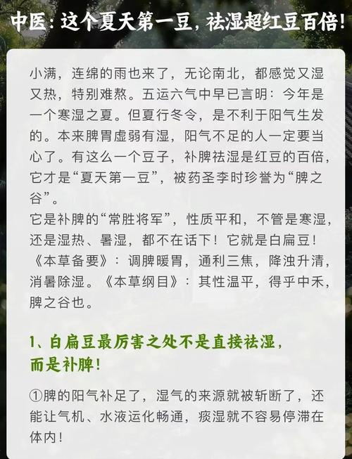 扁豆痛风的人可以吃吗