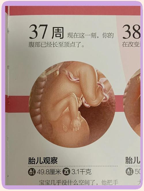 宝宝足月了就安全了吗