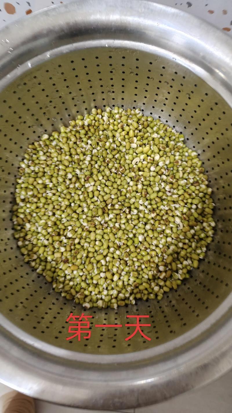 痛风患者能吃绿豆芽吗