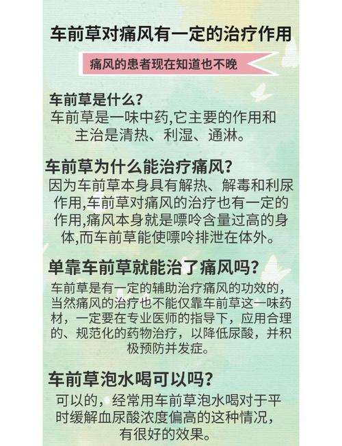 车前草可以治疗痛风吗