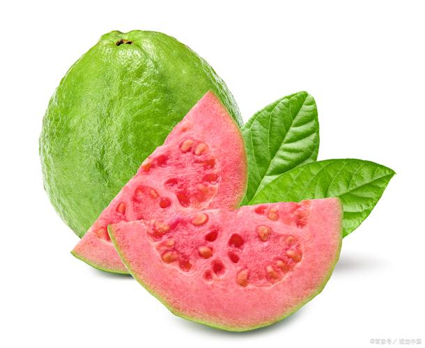 痛风患者能吃什么水果