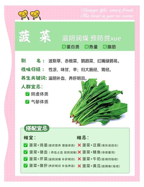 痛风为什么不能吃菠菜