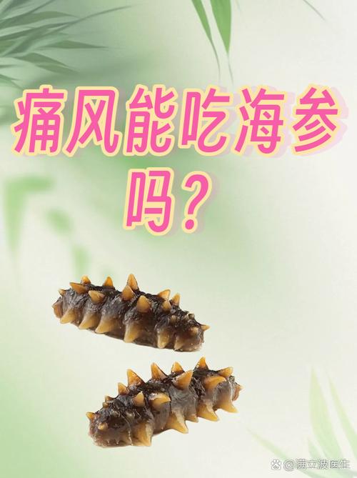 痛风的人可以吃海参吗