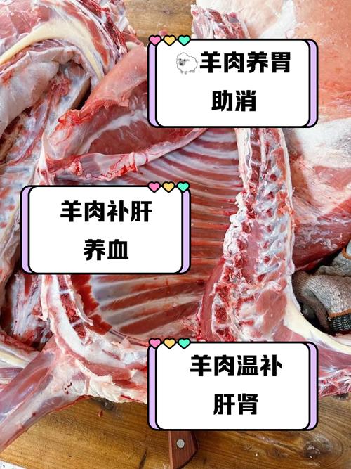 痛风的人可以吃羊肉吗