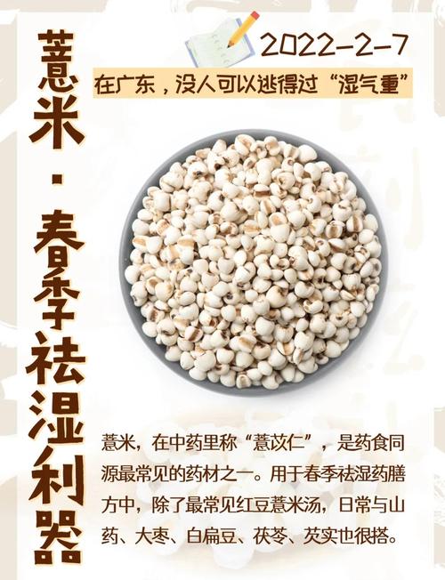 痛风可以吃红豆薏米吗