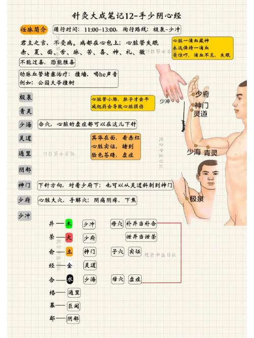 针灸手法彩图pdf