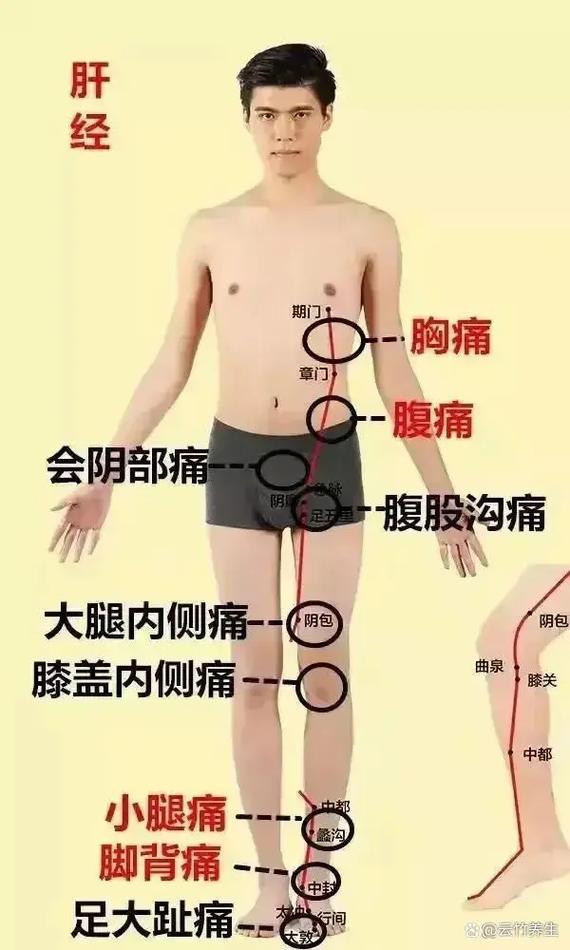 腹股沟韧带拉伤针灸