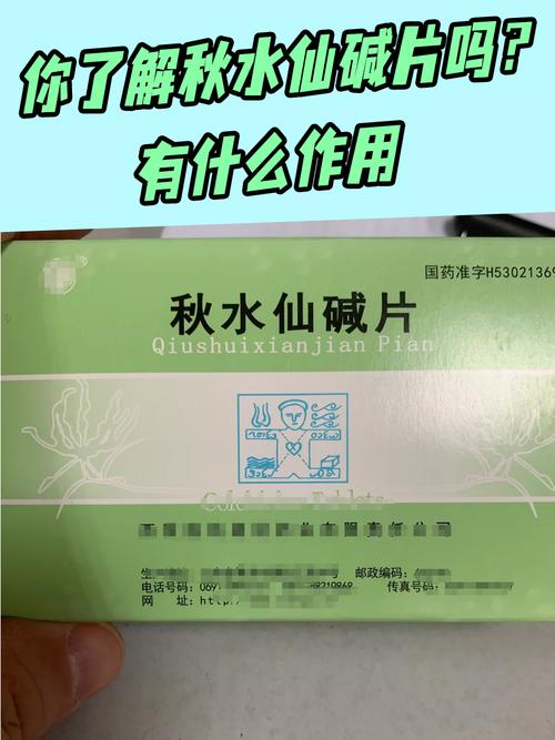 痛风可以吃秋水仙碱吗