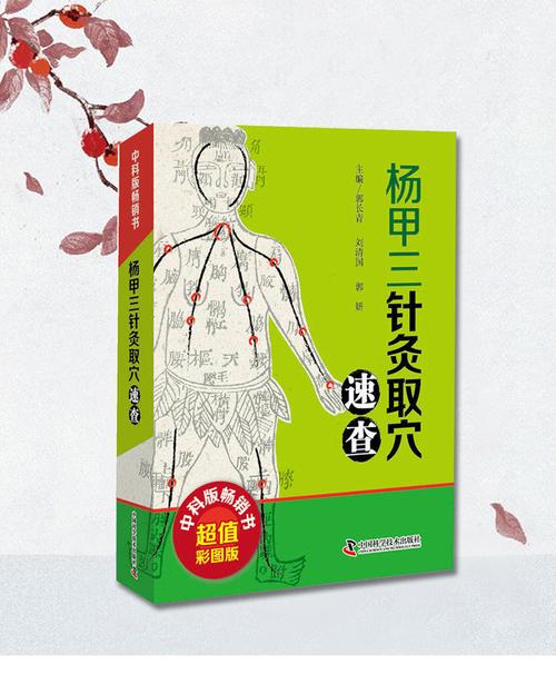 杨甲三针灸手法视频