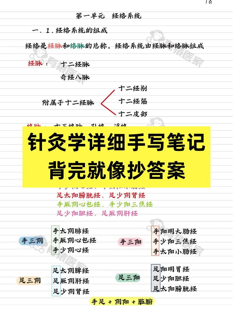 针灸学期末考试重点