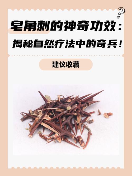 皂角刺泡酒能治痛风吗