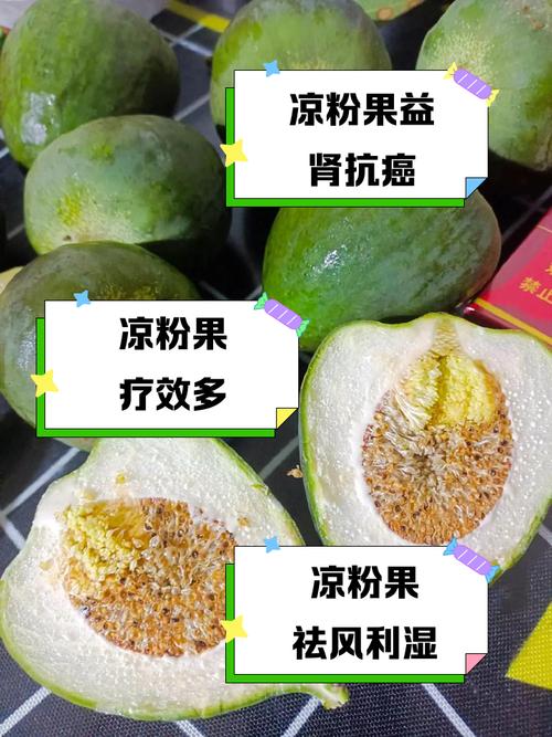 水果植物粉减肥安全吗