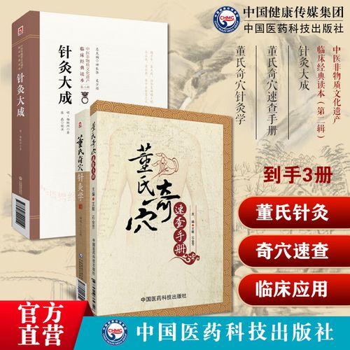董氏正经奇穴针灸学
