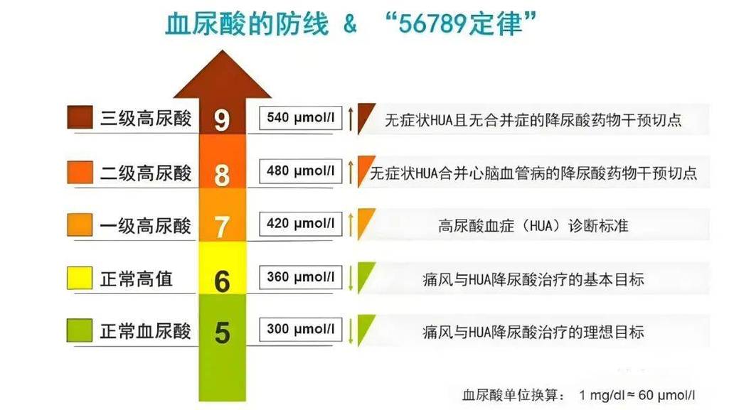 痛风尿酸值多少算正常