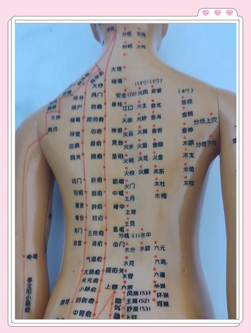 董氏针灸奇穴穴位图