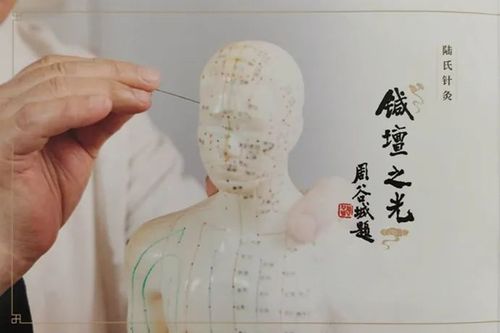 上海陆氏针灸在哪里