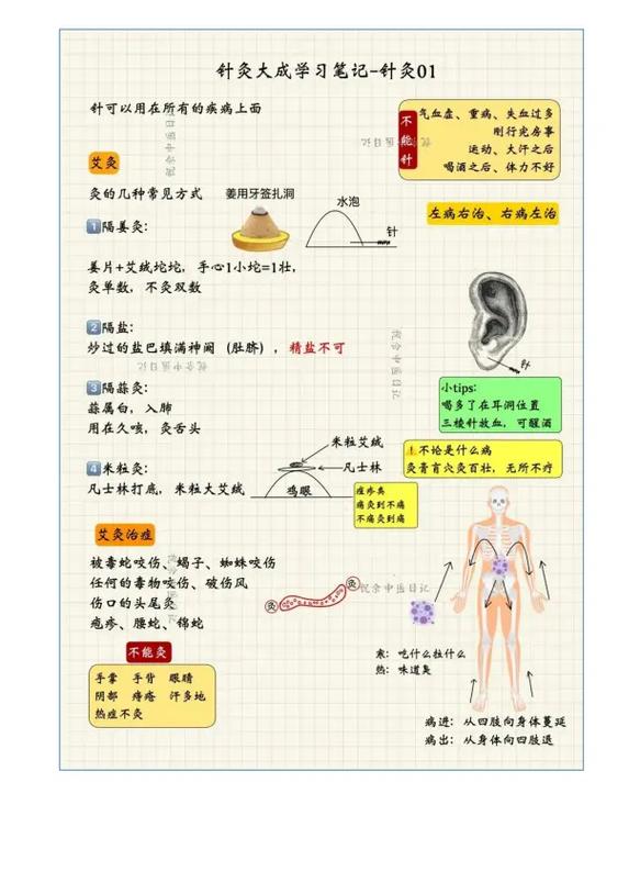 中医针灸学重点笔记