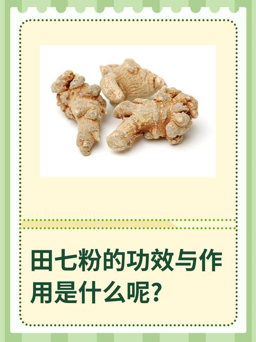 吃三七粉能治痛风吗