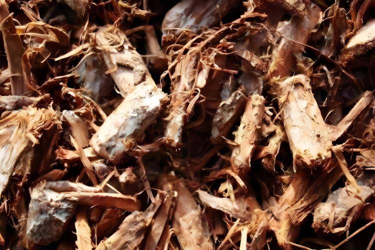 中医中药材治疗痛风