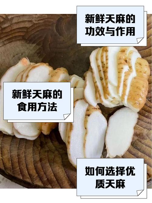 痛风病人可吃天麻吗