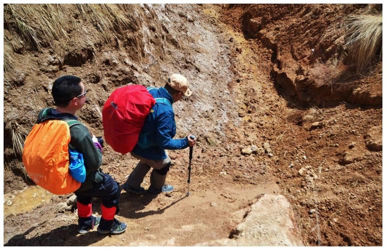 驴友网结伴旅游安全吗