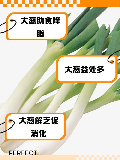 痛风病人能吃香葱吗