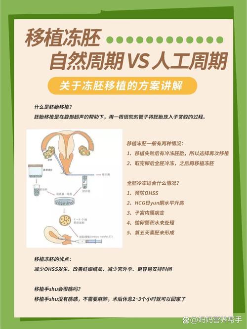 移植十九天是否安全了