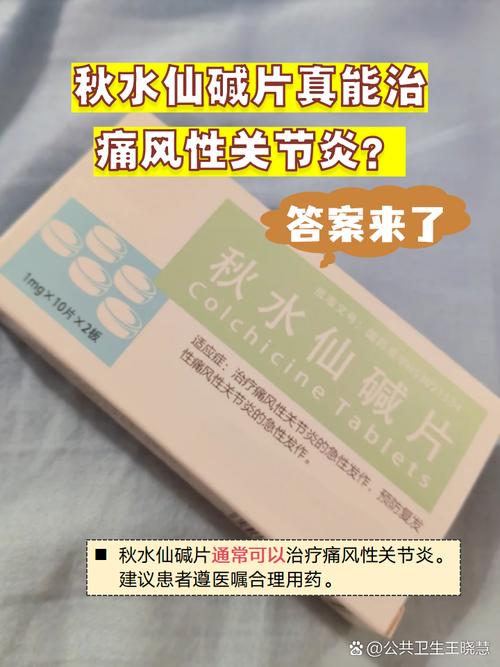 痛风发作该吃什么药