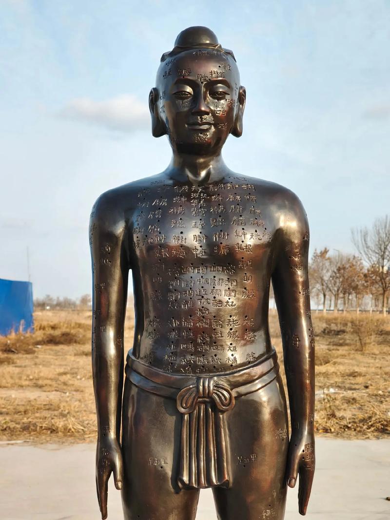 针灸用人体骨骼摸型