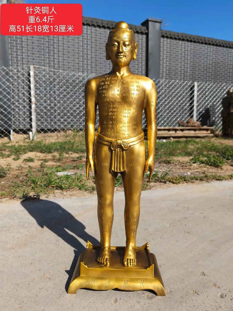 中医的针灸人体模型