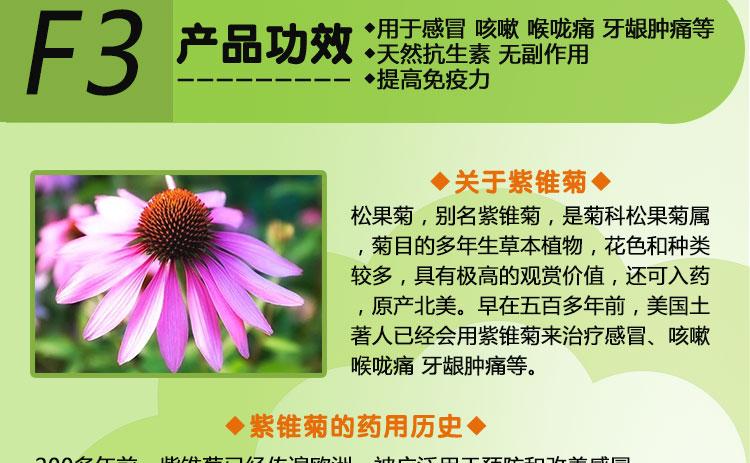 三驾马车紫雏菊安全吗